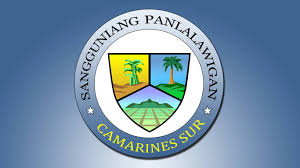 Sangguniang Panlalawigan ng Camarines Sur